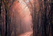 银河首页官网:英超第27輪曼城0-2曼聯 馬夏爾開場造點盧克肖擴大分數.