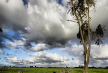 银河集团galaxy官网：C羅等球員在臉上塗口紅反對家暴.