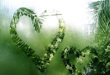 2022印度女足亞洲杯賽程表.