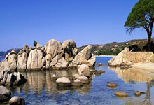 德甲第33輪菲爾特1-3多特蒙德 布蘭特雙響羅伊斯助攻.